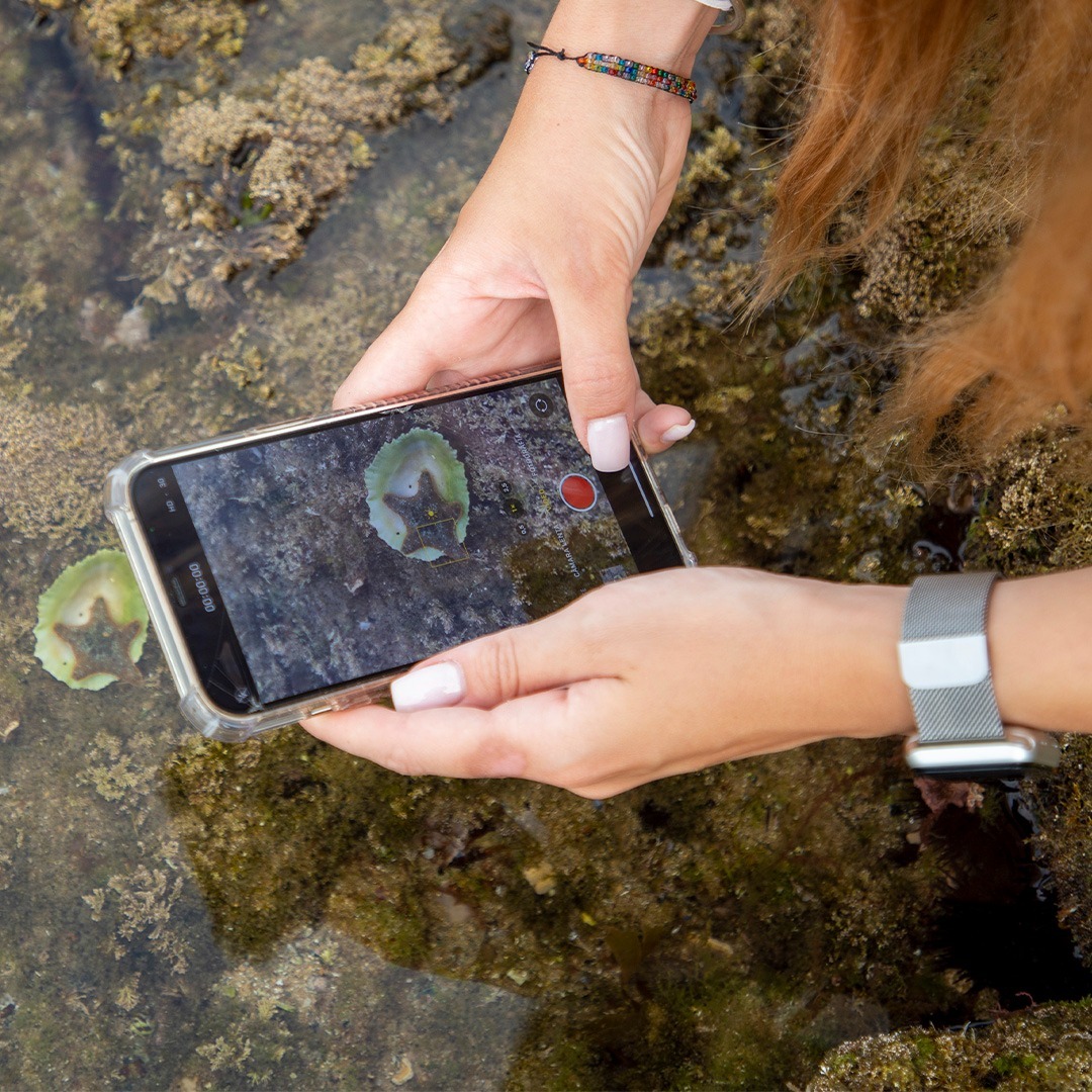 Roteiro entre Marés - Image 3