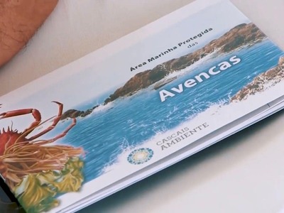 Passeios na Zona de Interesse Biofísico das Avencas