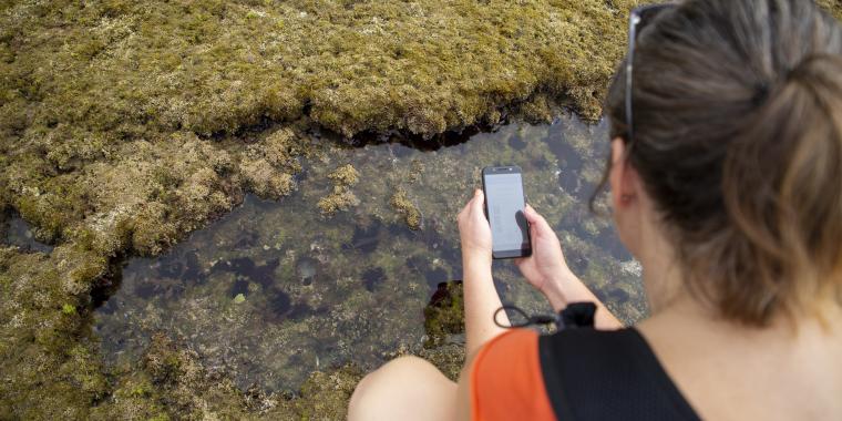 Roteiro entre Marés - Image 2