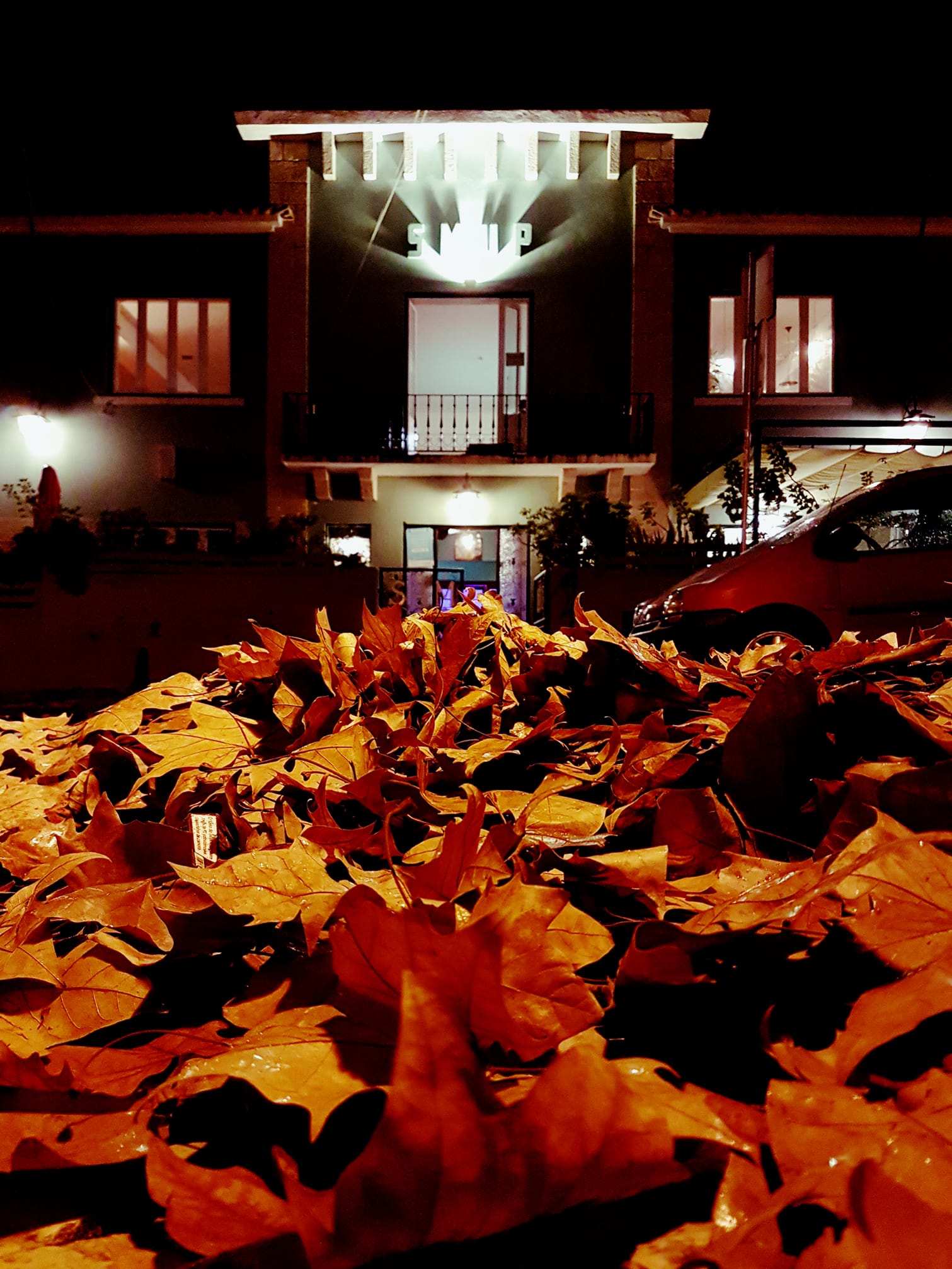 SMUP - Sociedade Musical União Paredense - Image 3