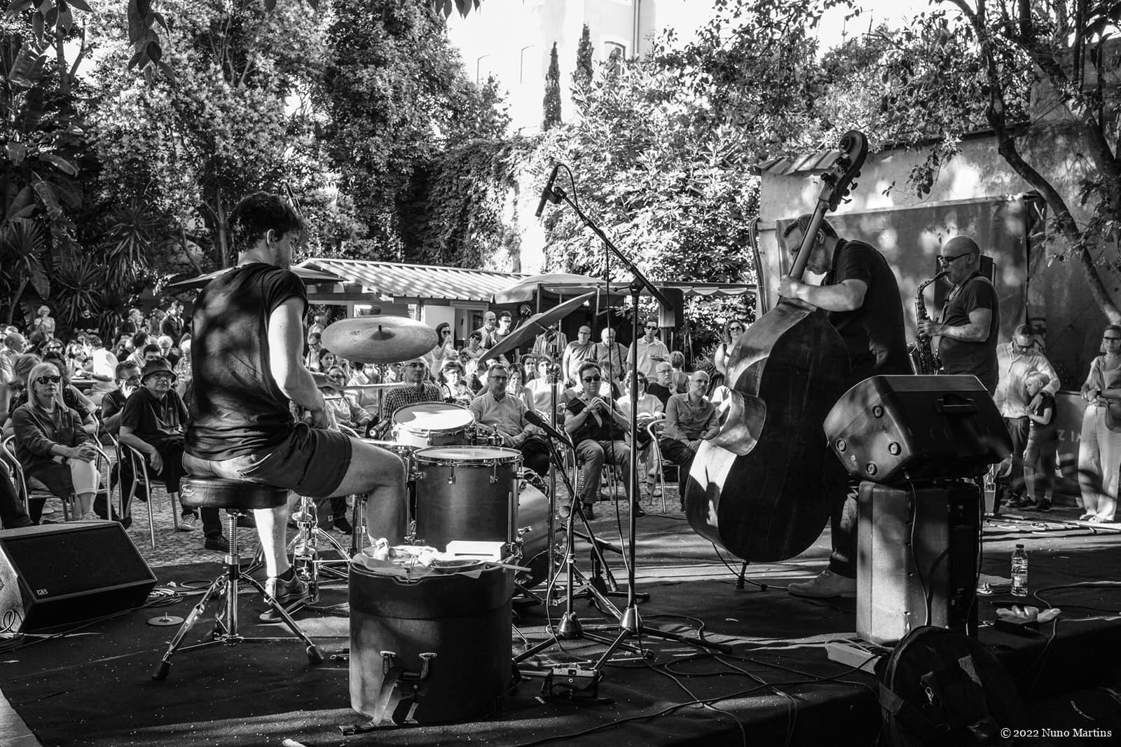 SMUP - Sociedade Musical União Paredense - Image 27