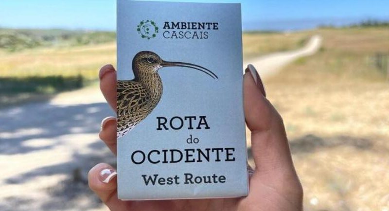 Rota do Ocidente