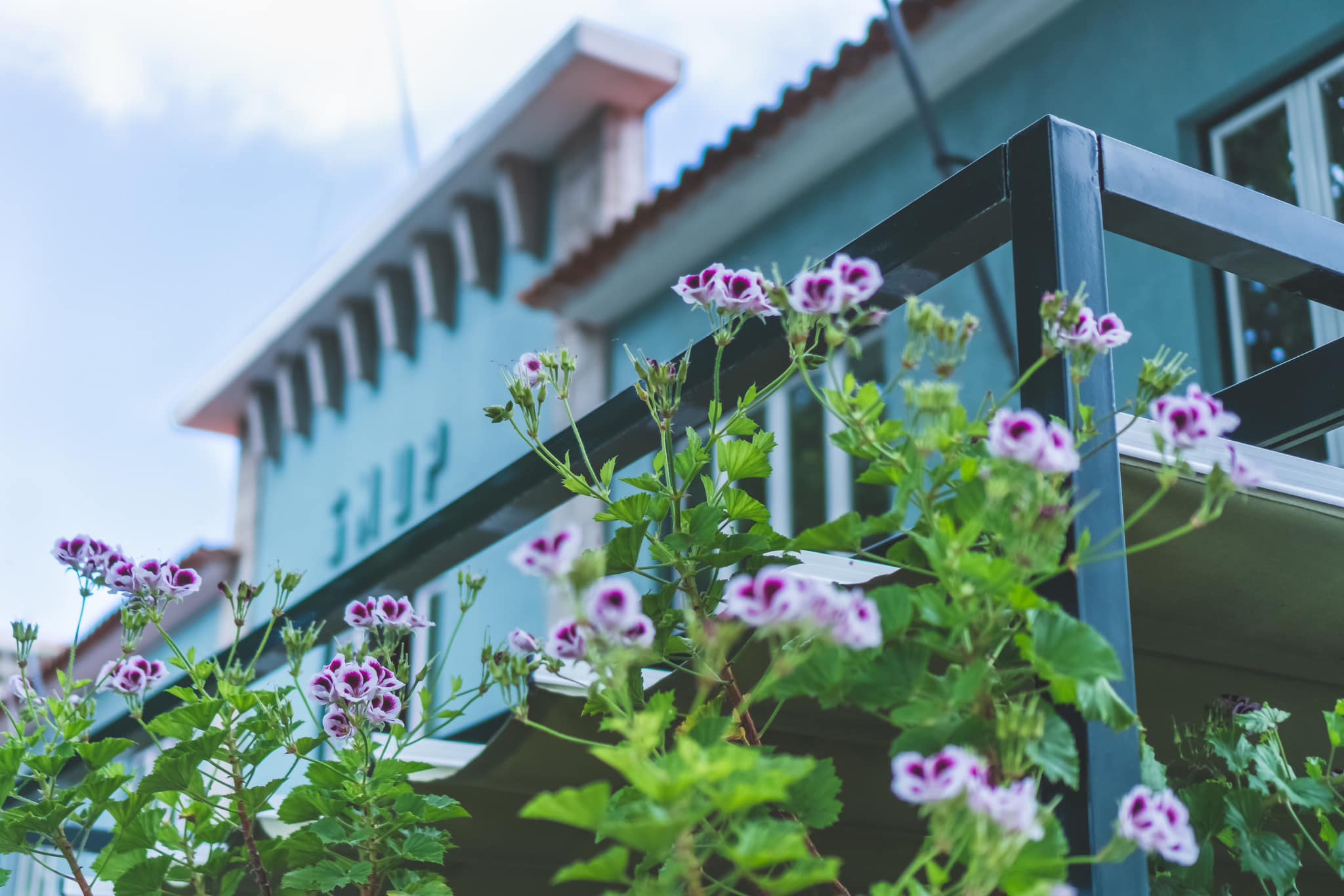 SMUP - Sociedade Musical União Paredense - Image 64