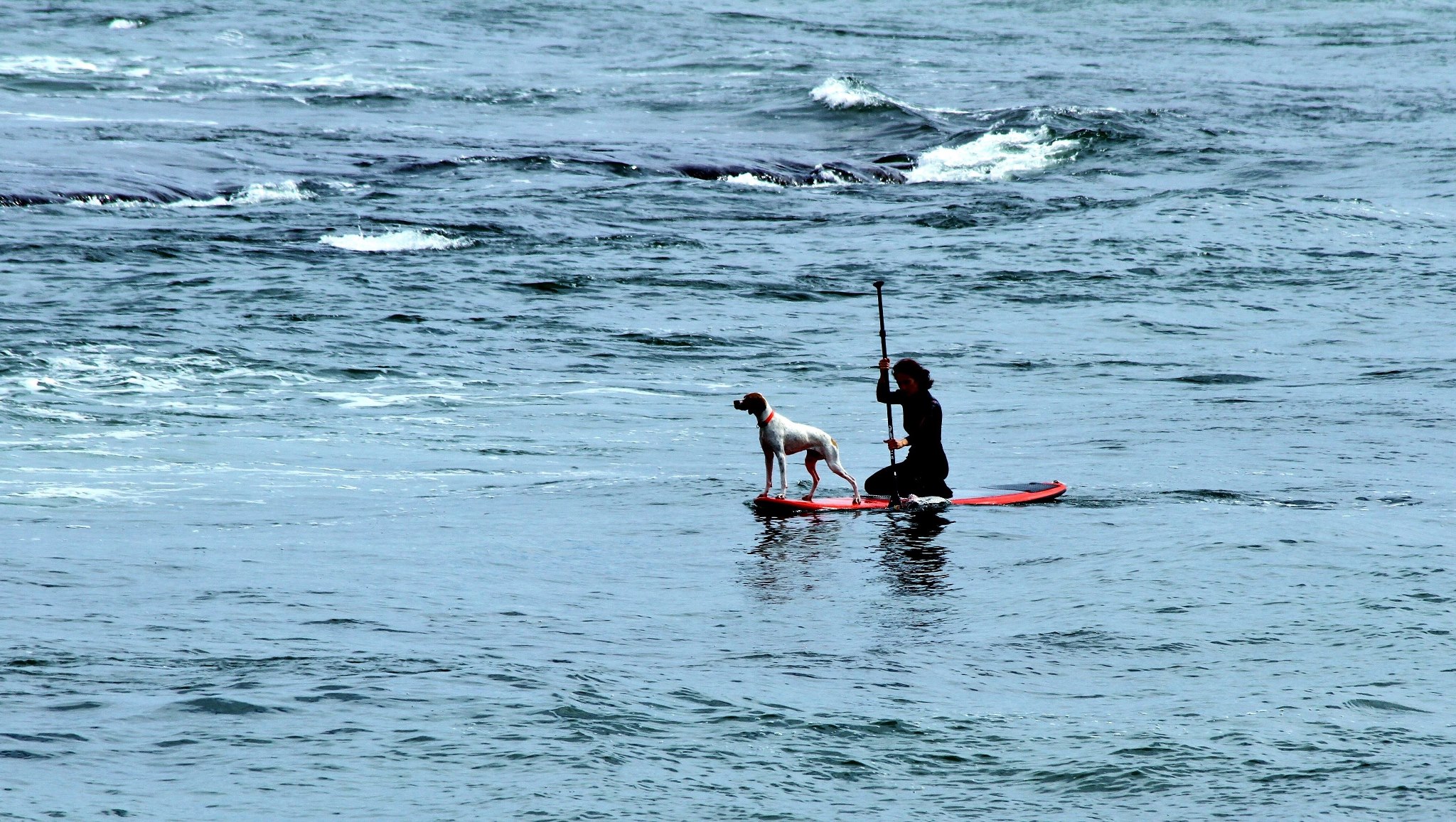 Praia da Parede / foto - Diamantino Tojo