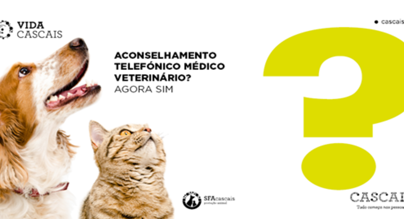 Aconselhamento Médico Veterinário por Telefone